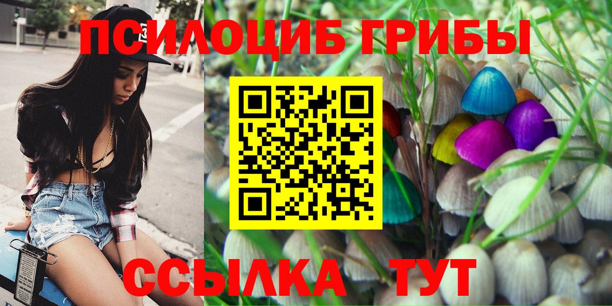 Галлюциногенные грибы прущие грибы  Вход с VPN  Арсеньев 